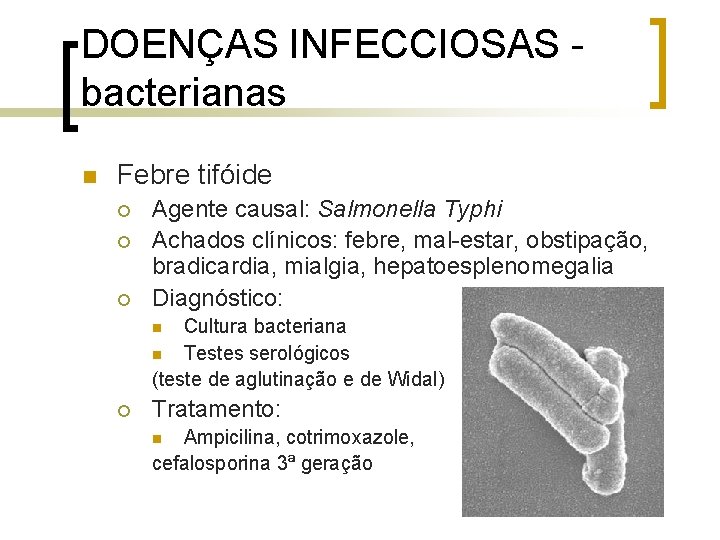 DOENÇAS INFECCIOSAS bacterianas n Febre tifóide ¡ ¡ ¡ Agente causal: Salmonella Typhi Achados