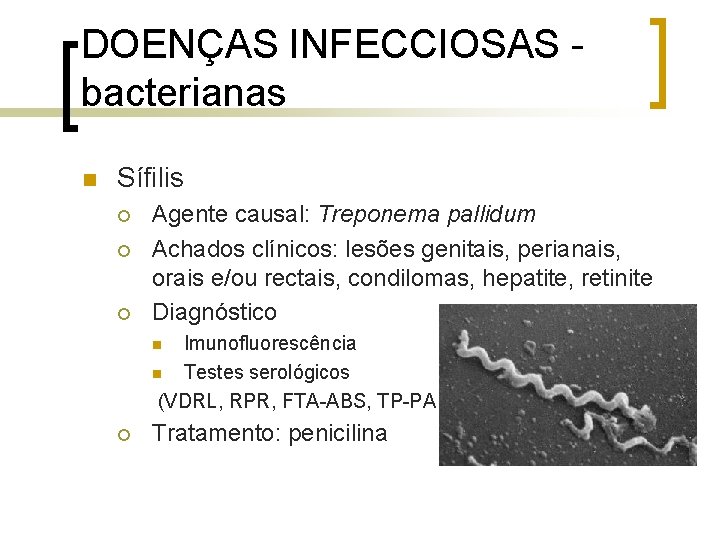 DOENÇAS INFECCIOSAS bacterianas n Sífilis ¡ ¡ ¡ Agente causal: Treponema pallidum Achados clínicos: