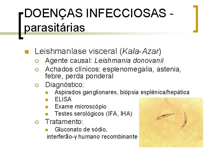 DOENÇAS INFECCIOSAS parasitárias n Leishmaníase visceral (Kala-Azar) ¡ ¡ ¡ Agente causal: Leishmania donovanii