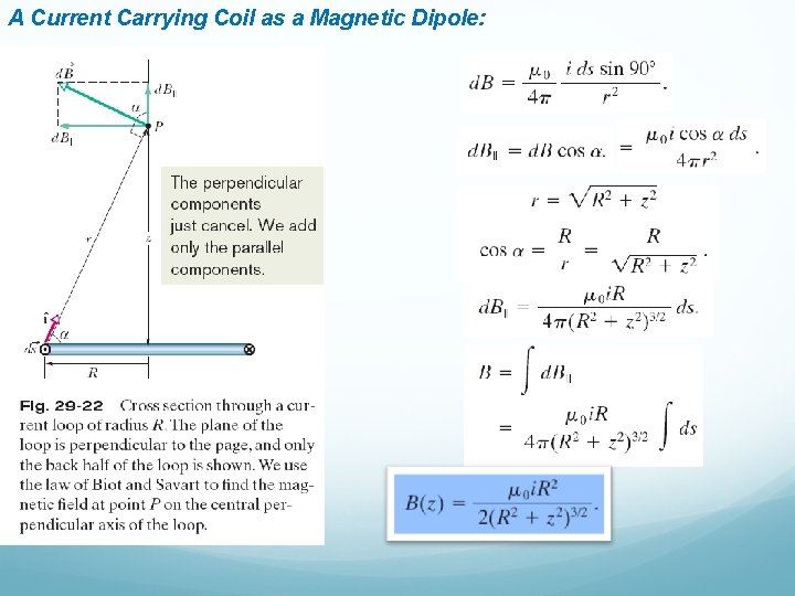 A Current Carrying Coil as a Magnetic Dipole: A Current Carrying Coil as a Magnetic Dipole: