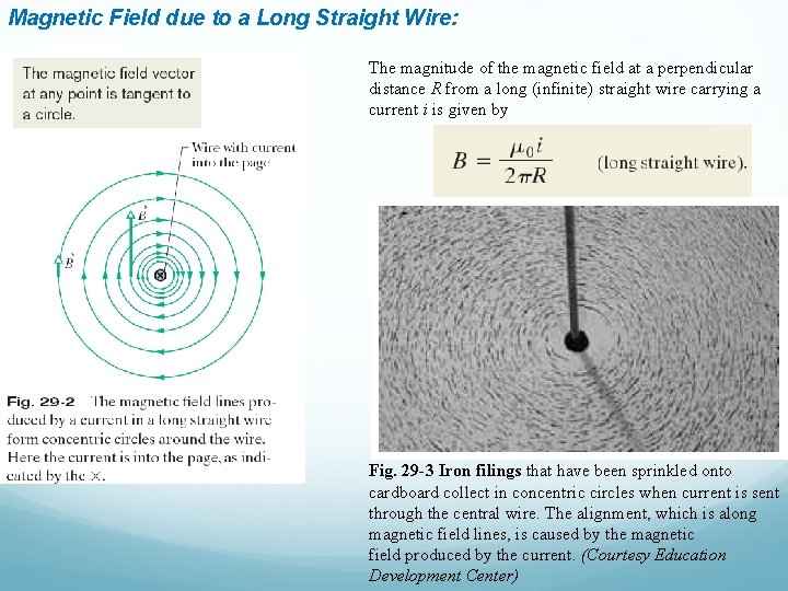 Magnetic Field due to a Long Straight Wire: The magnitude of the magnetic field Magnetic Field due to a Long Straight Wire: The magnitude of the magnetic field