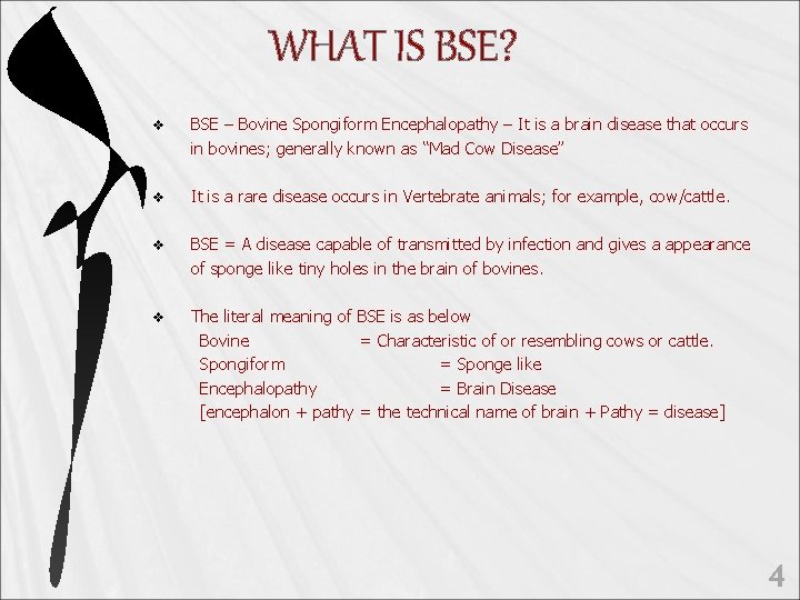 WHAT IS BSE? v BSE – Bovine Spongiform Encephalopathy – It is a brain