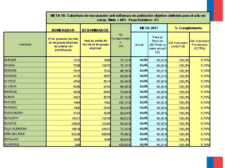 META 16: Cobertura de vacunación anti influenza en población objetivo definida para el año