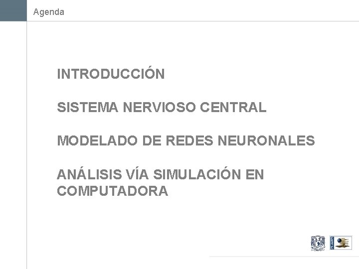 Agenda INTRODUCCIÓN SISTEMA NERVIOSO CENTRAL MODELADO DE REDES NEURONALES ANÁLISIS VÍA SIMULACIÓN EN COMPUTADORA