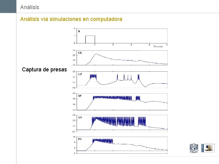 Análisis vía simulaciones en computadora Captura de presas 