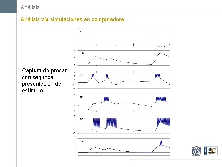 Análisis vía simulaciones en computadora Captura de presas con segunda presentación del estímulo 