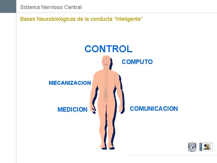 Sistema Nervioso Central Bases Neurobiológicas de la conducta “Inteligente” CONTROL COMPUTO MECANIZACION MEDICION COMUNICACION
