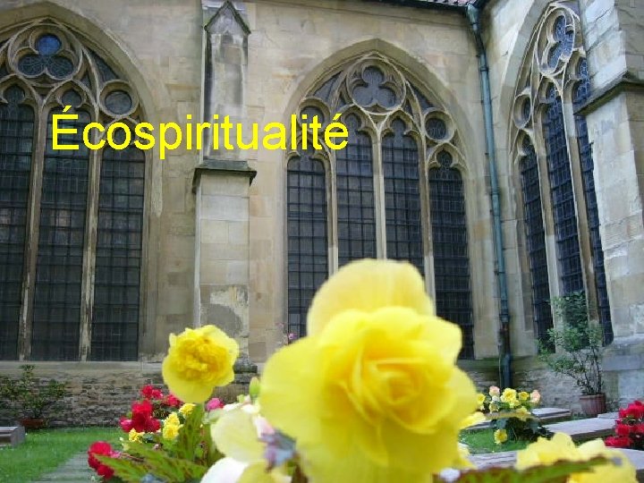 Écospiritualité 