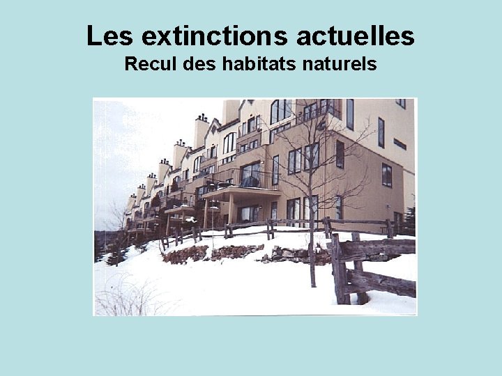 Les extinctions actuelles Recul des habitats naturels 