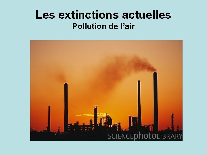 Les extinctions actuelles Pollution de l’air 