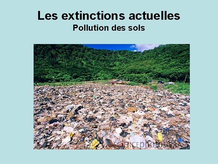 Les extinctions actuelles Pollution des sols 