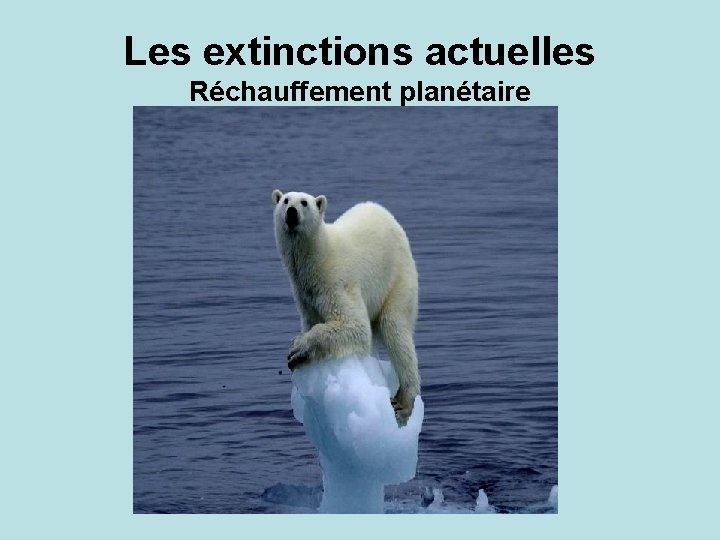 Les extinctions actuelles Réchauffement planétaire 