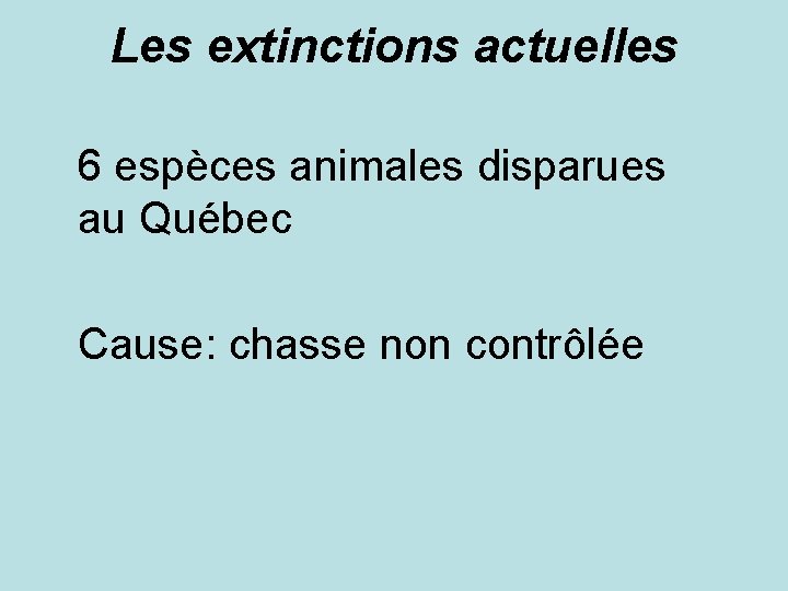 Les extinctions actuelles 6 espèces animales disparues au Québec Cause: chasse non contrôlée 