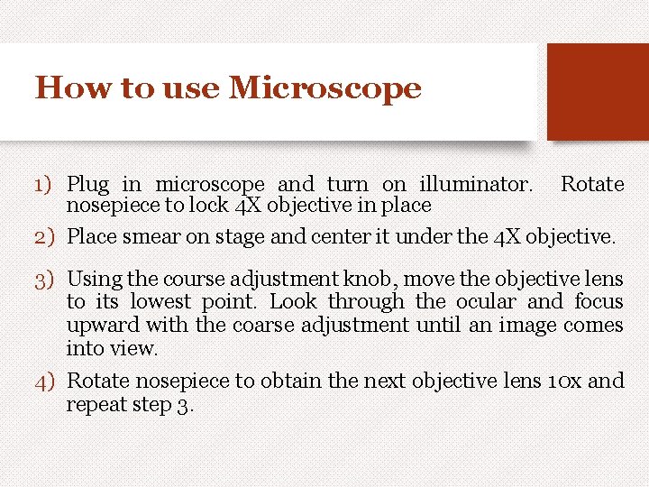 How to use Microscope 1) Plug in microscope and turn on illuminator. Rotate nosepiece