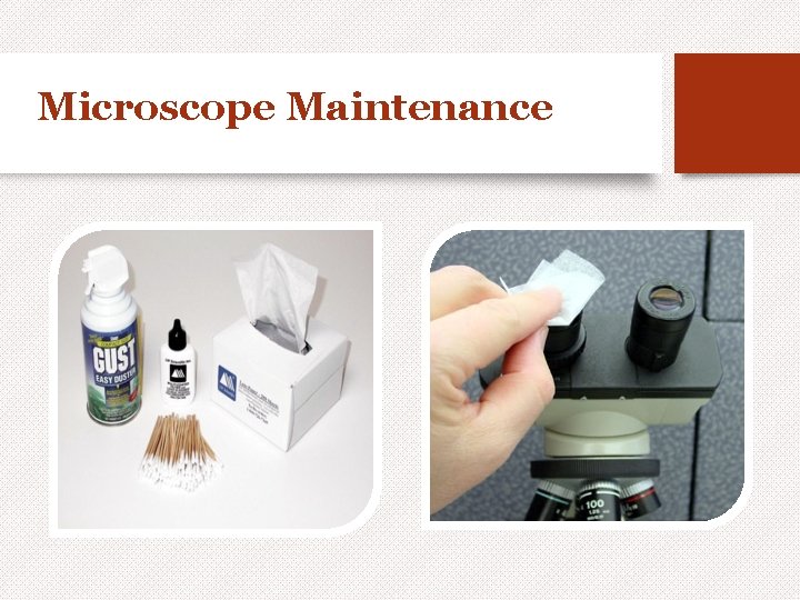 Microscope Maintenance 