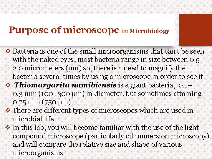 Purpose of microscope in Microbiology v Bacteria is one of the small microorganisms that