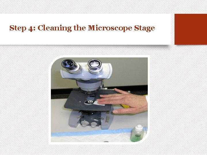 Step 4: Cleaning the Microscope Stage 