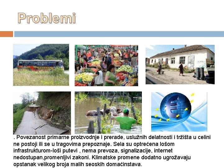 Problemi . Povezanost primarne proizvodnje i prerade, uslužnih delatnosti i tržišta u celini ne