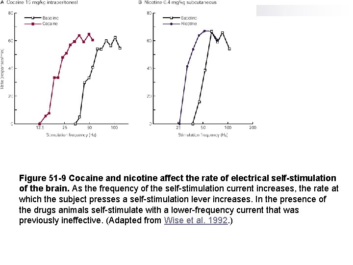 Figure 51 -9 Cocaine and nicotine affect the rate of electrical self-stimulation of the