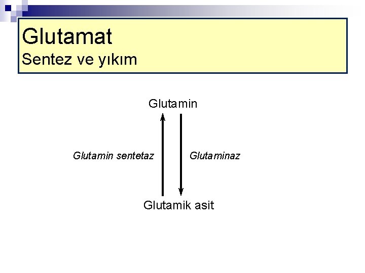 Glutamat Sentez ve yıkım Glutamin sentetaz Glutaminaz Glutamik asit 