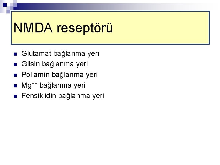 NMDA reseptörü n n n Glutamat bağlanma yeri Glisin bağlanma yeri Poliamin bağlanma yeri