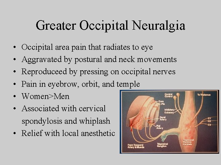 Greater Occipital Neuralgia • • • Occipital area pain that radiates to eye Aggravated