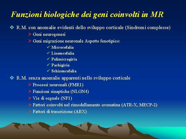 Funzioni biologiche dei geni coinvolti in MR v R. M. con anomalie evidenti dello Funzioni biologiche dei geni coinvolti in MR v R. M. con anomalie evidenti dello