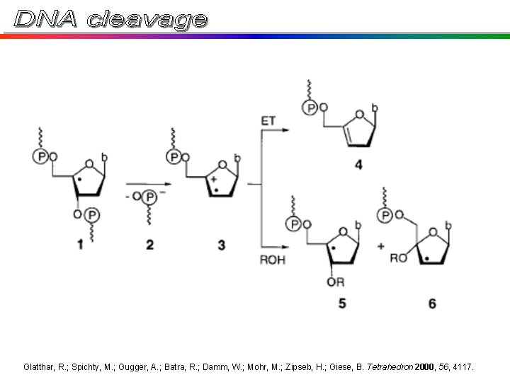 Glatthar, R. ; Spichty, M. ; Gugger, A. ; Batra, R. ; Damm, W. Glatthar, R. ; Spichty, M. ; Gugger, A. ; Batra, R. ; Damm, W.