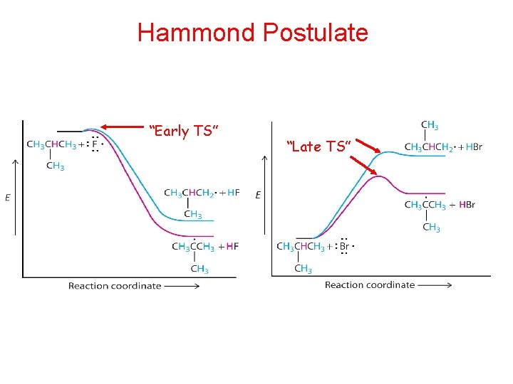 Hammond Postulate “Early TS” “Late TS” Hammond Postulate “Early TS” “Late TS”