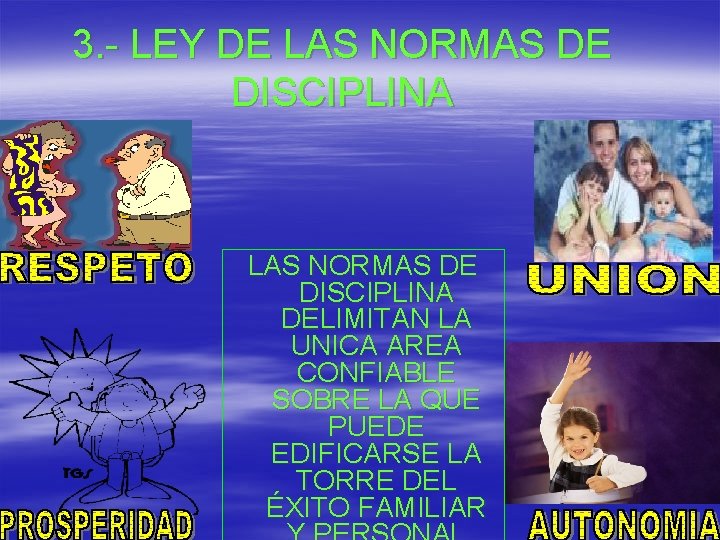 3. - LEY DE LAS NORMAS DE DISCIPLINA DELIMITAN LA UNICA AREA CONFIABLE SOBRE