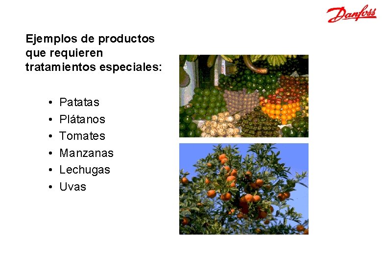 Ejemplos de productos que requieren tratamientos especiales: • • • Patatas Plátanos Tomates Manzanas