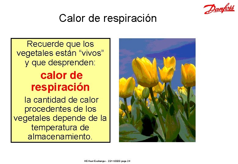 Calor de respiración Recuerde que los vegetales están “vivos” y que desprenden: calor de