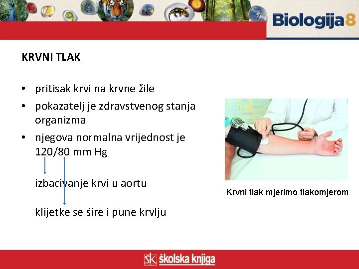 KRVNI TLAK • pritisak krvi na krvne žile • pokazatelj je zdravstvenog stanja organizma