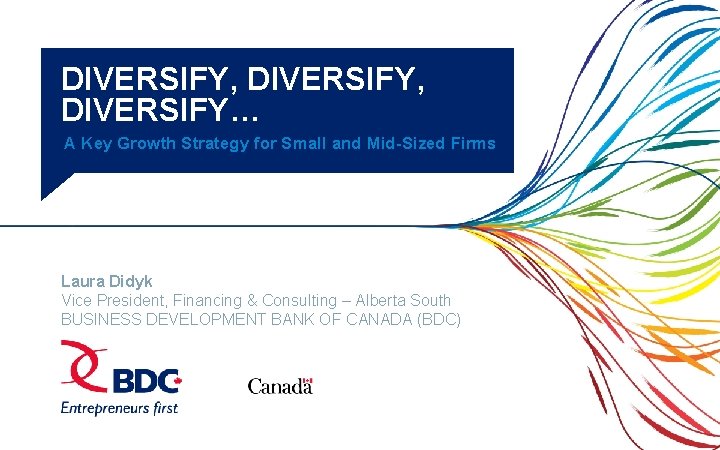 DIVERSIFY, DIVERSIFY… A Key Growth Strategy for Small and Mid-Sized Firms Laura Didyk Vice