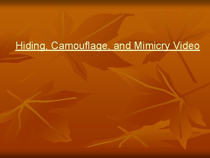 Hiding, Camouflage, and Mimicry Video 