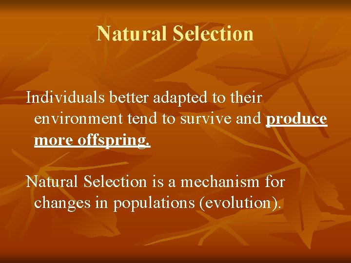Natural Selection Individuals better adapted to their environment tend to survive and produce more