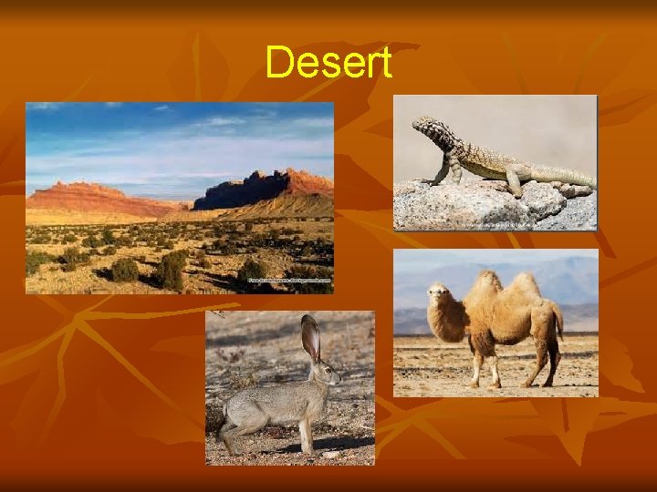 Desert 