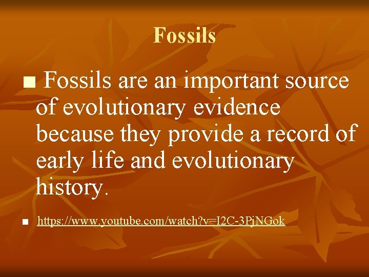 Fossils ■ Fossils are an important source of evolutionary evidence because they provide a