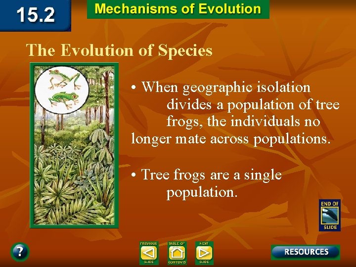 The Evolution of Species • When geographic isolation divides a population of tree frogs,