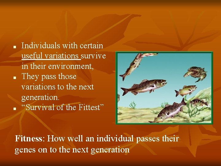 ■ ■ ■ Individuals with certain useful variations survive in their environment, They pass