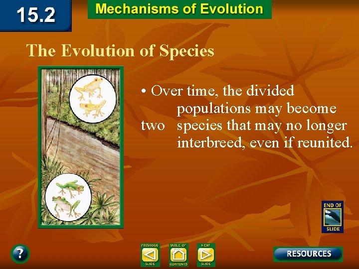 The Evolution of Species • Over time, the divided populations may become two species