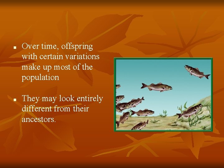 ■ ■ Over time, offspring with certain variations make up most of the population