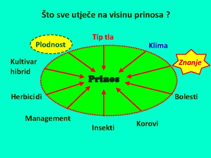 Što sve utječe na visinu prinosa ? Plodnost Kultivar hibrid Tip tla Klima Znanje