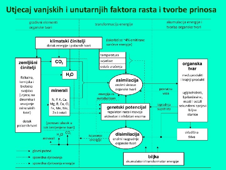 Utjecaj vanjskih i unutarnjih faktora rasta i tvorbe prinosa 