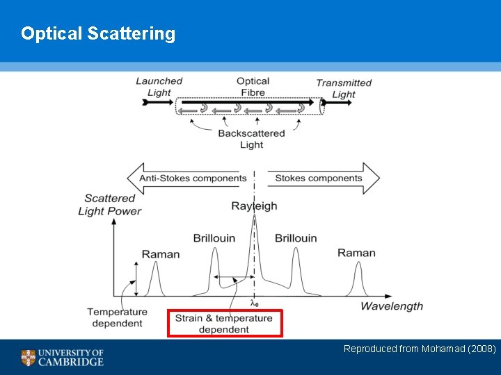 Optical Scattering Reproduced from Mohamad (2008) 