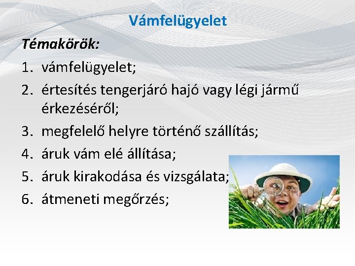 Vámfelügyelet Témakörök: 1. vámfelügyelet; 2. értesítés tengerjáró hajó vagy légi jármű érkezéséről; 3. megfelelő