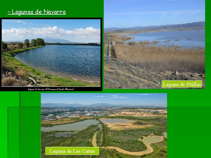 - Lagunas de Navarra Laguna de Pitillas Laguna de Las Cañas - Lagunas de Navarra Laguna de Pitillas Laguna de Las Cañas