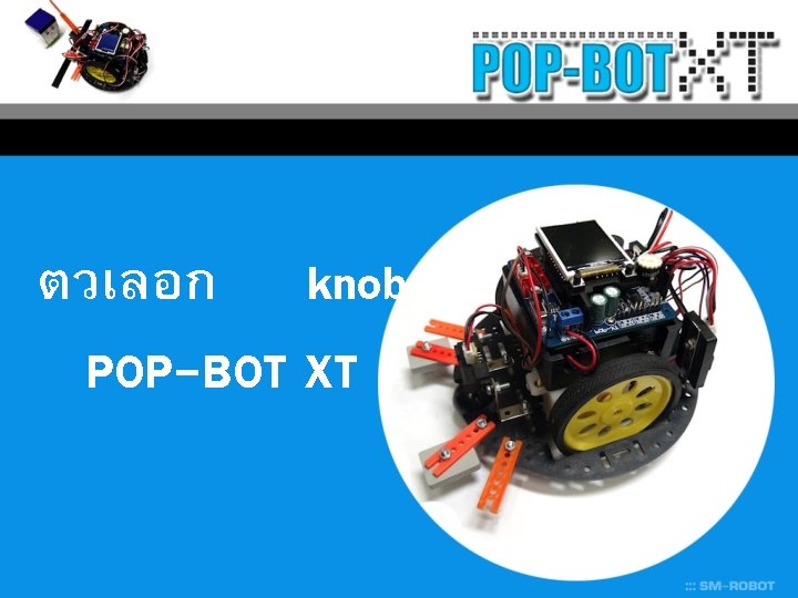 ตวเลอก knob POP-BOT XT 