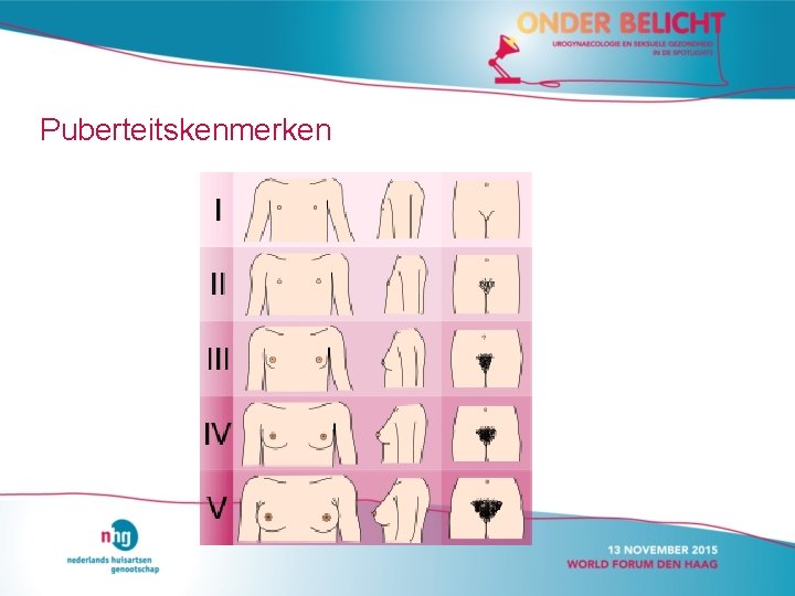 Puberteitskenmerken Puberteitskenmerken