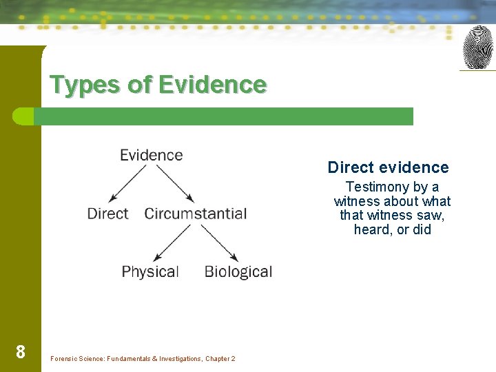 Types of Evidence Direct evidence Testimony by a witness about what that witness saw,